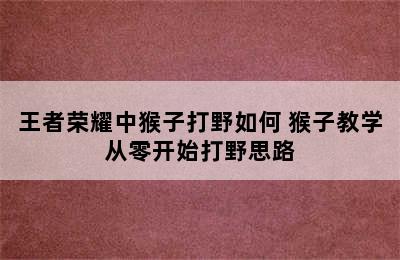 王者荣耀中猴子打野如何 猴子教学从零开始打野思路